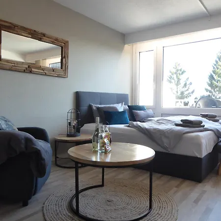 Mountain Pool Sauna Hund 4 Pers Wifi Near Lift Appartamento