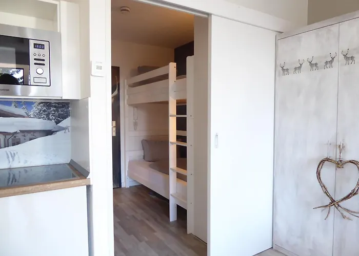 Mountain Pool Sauna Hund 4 Pers Wifi Near Lift Winterberg